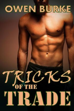 Cover of Tricks of the Trade (Older Man / Younger Man Gay Menage)