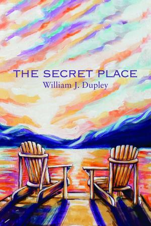 Cover of the book The Secret Place by Aisha Nixon