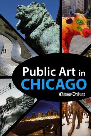 Cover of the book Public Art in Chicago by Paul Sullivan