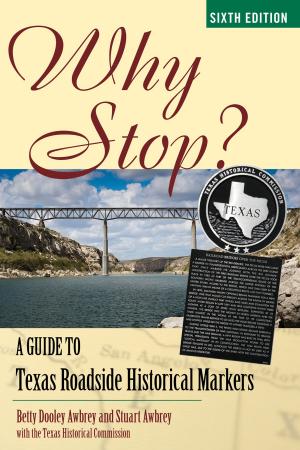 Cover of the book Why Stop? by John Huntington