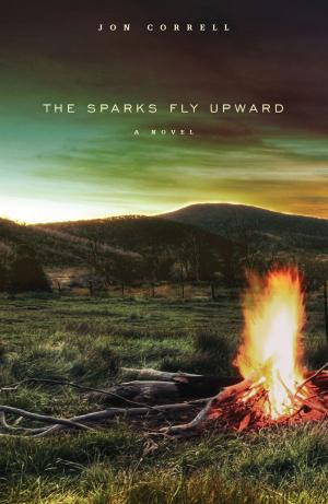 Cover of the book The Sparks Fly Upward by Tom Morin