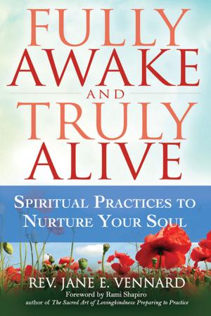 Cover of the book Fully Awake and Truly Alive by Rabbi Samuel Sandmel