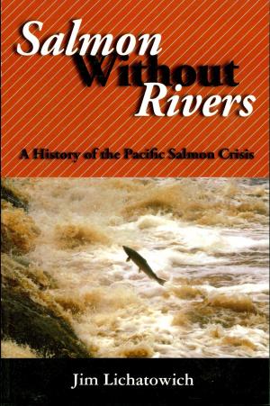 Cover of the book Salmon Without Rivers by Wenche Dramstad, James D. Olson, Richard T.T. Forman