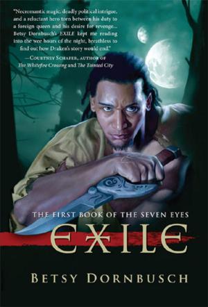 Cover of the book Exile by Phil Foglio, Kaja Foglio