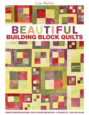 Cover of the book Beautiful Building Block Quilts by M'Liss Rae Hawley
