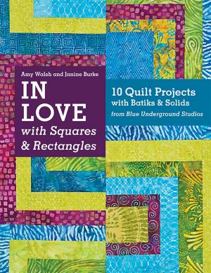 Cover of the book In Love with Squares & Rectangles by C&T Publishing