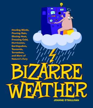 Cover of the book Bizarre Weather by Julie Danneberg