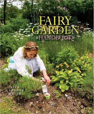 Book cover of Fairy Garden Handbook