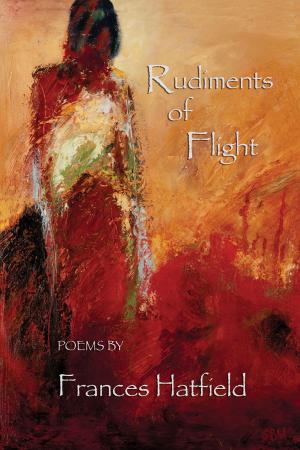 Cover of the book Rudiments of Flight by Robert Flynn