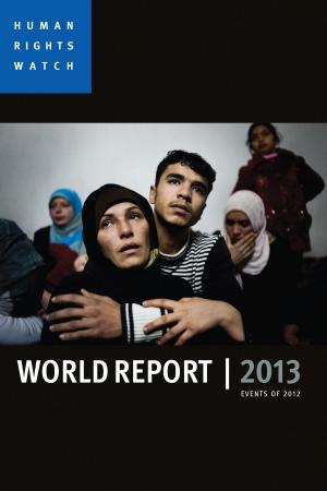 Cover of the book World Report 2013 by Silvana Paternostro