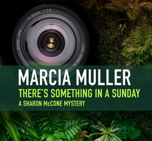 Cover of the book There's Something in a Sunday by Louis L'Amour