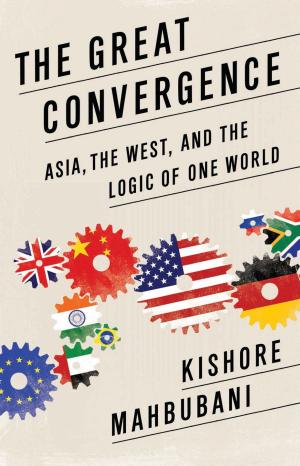 Cover of the book The Great Convergence by Egil Krogh, Matt Krogh
