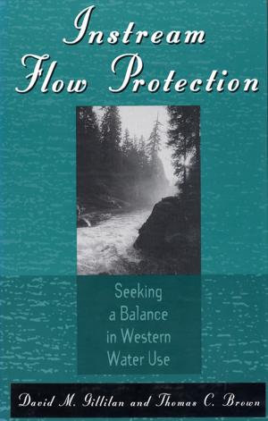 Cover of the book Instream Flow Protection by Alianor True