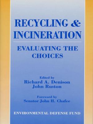 Cover of the book Recycling and Incineration by Gary Paul Nabhan, Michael E. Soulé, Alan Gussow, Albert Borgmann, Kathryn Hayles