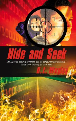 Cover of the book Hide and Seek by Dianne J. Wilson