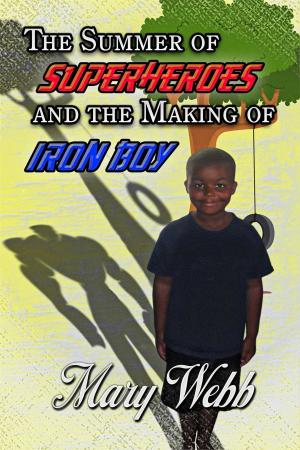 Cover of the book The Summer Of Super Heroes And The Making Of Iron Boy by Sean E Thomas