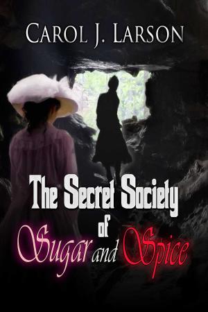 Cover of the book The Secret Society Of Sugar And Spice by Caroline Misner