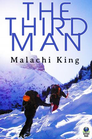 Cover of the book The Third Man by J.T. Wilson