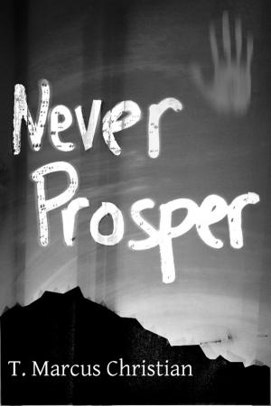 Book cover of Never Prosper