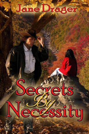 Book cover of Secrets By Necessity
