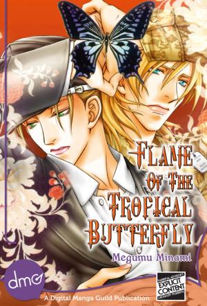 Cover of the book Flame of the Tropical Butterfly by Sanae Rokuya