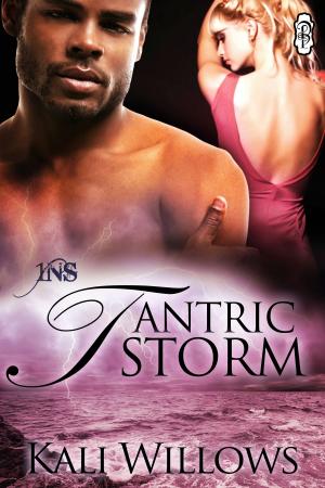 Cover of the book Tantric Storm by Mahalia Levey
