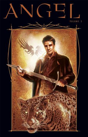 Cover of the book Angel: After The Fall Vol.5 by Hedden, Rich; McWeeney, Tom; Dooney, Michael