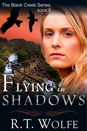 Book cover of Flying in Shadows (The Black Creek Series, Book 2)