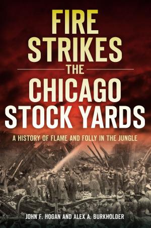 Cover of the book Fire Strikes the Chicago Stock Yards by Terry L. Baldridge