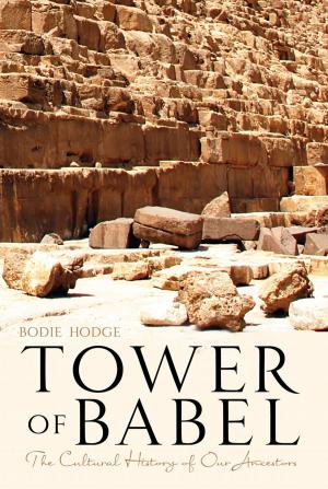 Cover of the book Tower of Babel by Ken Ham, Bodie Hodge