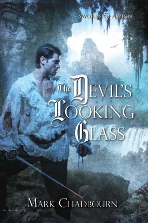 Cover of the book The Devil's Looking Glass by Richard A. Knaak