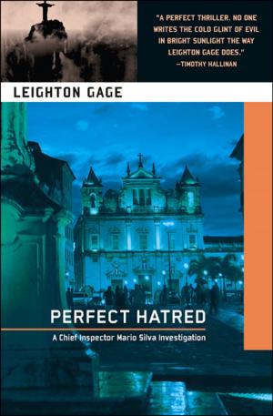 Cover of the book Perfect Hatred by M.C. Atwood