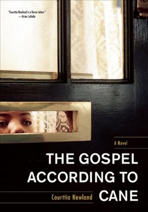 Cover of the book The Gospel According to Cane by James Greer