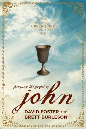 Cover of the book Praying the Gospel of John by Jennifer Grant