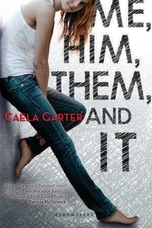 Cover of the book Me, Him, Them, and It by Terry Crowdy