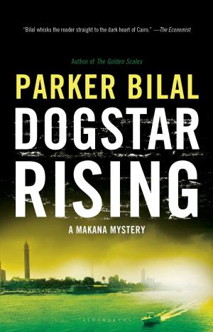 Cover of the book Dogstar Rising by David Fletcher