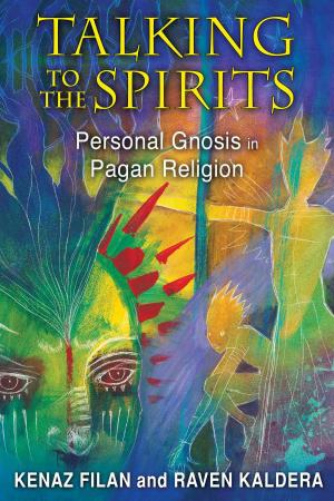 Book cover of Talking to the Spirits