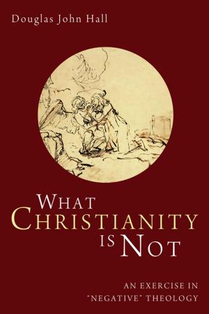 Cover of the book What Christianity Is Not by David J. Glunt