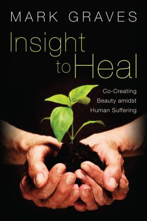 Cover of the book Insight to Heal by Kristen Welch, Abraham Ruelas