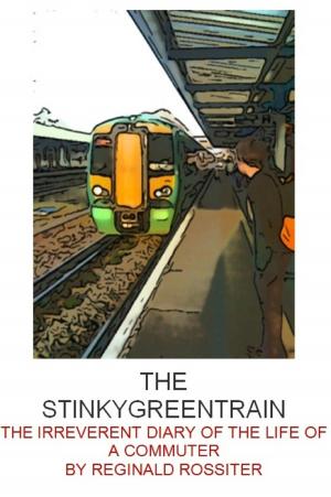 Cover of the book The StinkyGreenTrain by Steve O'Brien