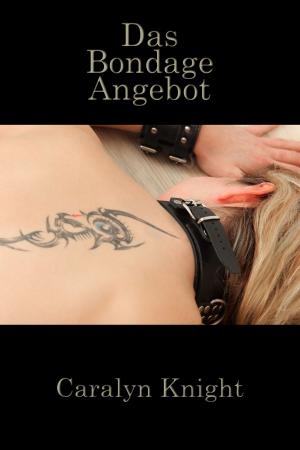 Cover of the book Das Bondage Angebot by Tracy Alton