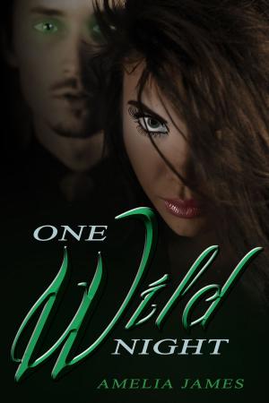 Cover of the book One Wild Night: A Short Story by J. M. Fagan