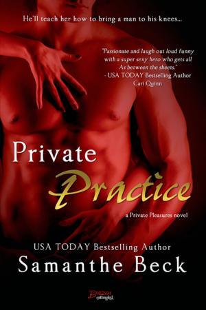 Cover of the book Private Practice by Eliza Gordon
