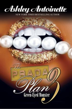 Cover of the book The Prada Plan 3: by Ashley Antoinette