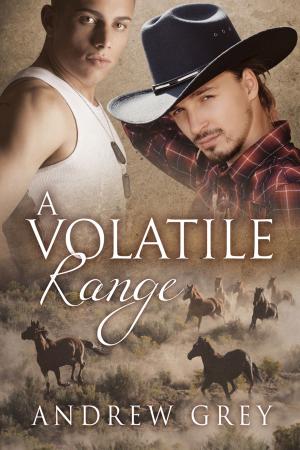 Cover of the book A Volatile Range by JL Merrow