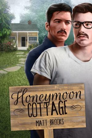 bigCover of the book Honeymoon Cottage by 