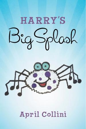 Cover of the book Harry's Big Splash by Jay Glikman, Einat Tubi