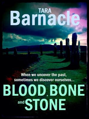 Cover of the book Blood, Bone and Stone by Daniel Reeves