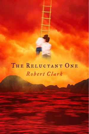 Book cover of The Reluctant One