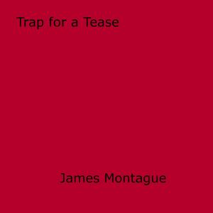 bigCover of the book Trap for a Tease by 